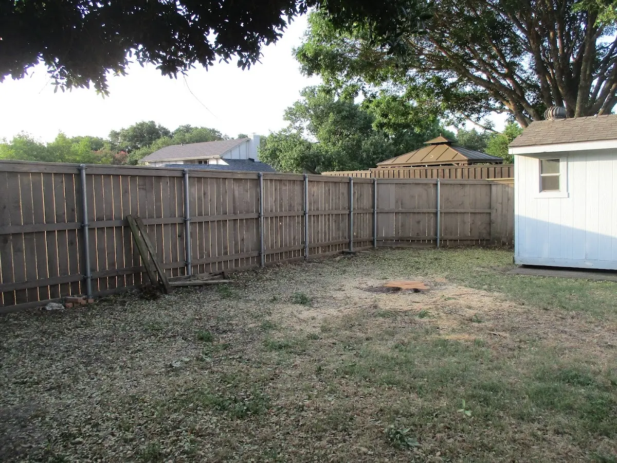 Cleared yard after professional tree removal in Zelienople